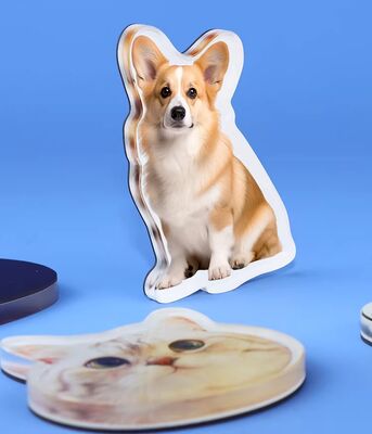 acheter HAPPY GIFT Fabrication personnalisée Pet Design Magnet de réfrigérateur acrylique Adorable personnalisation d'anime Autocollant plastique holographique online manufacture